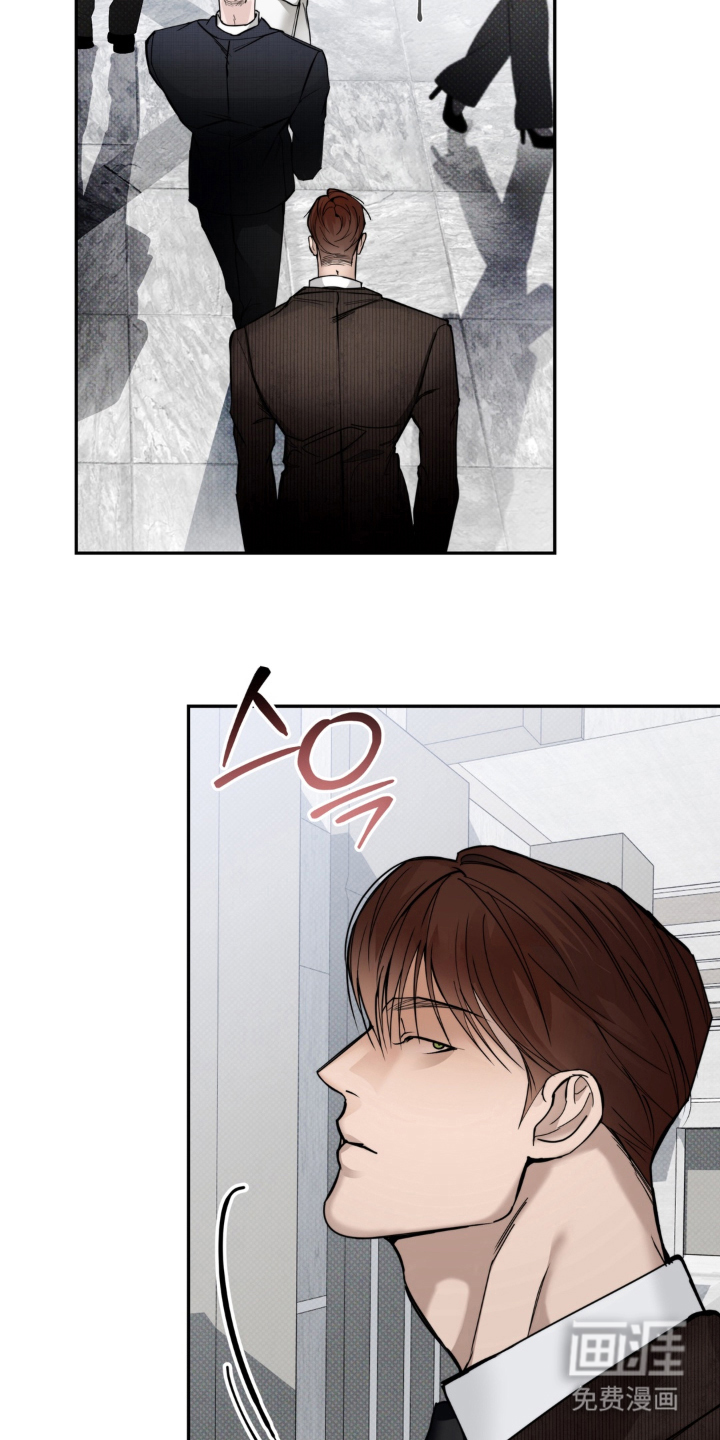 伪装阿尔法漫画-图14