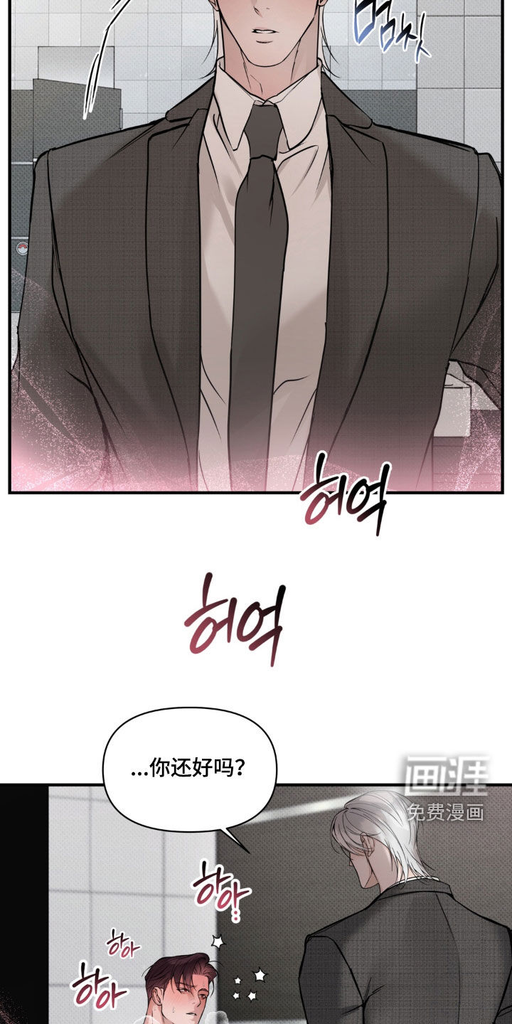 伪装阿尔法漫画-图5