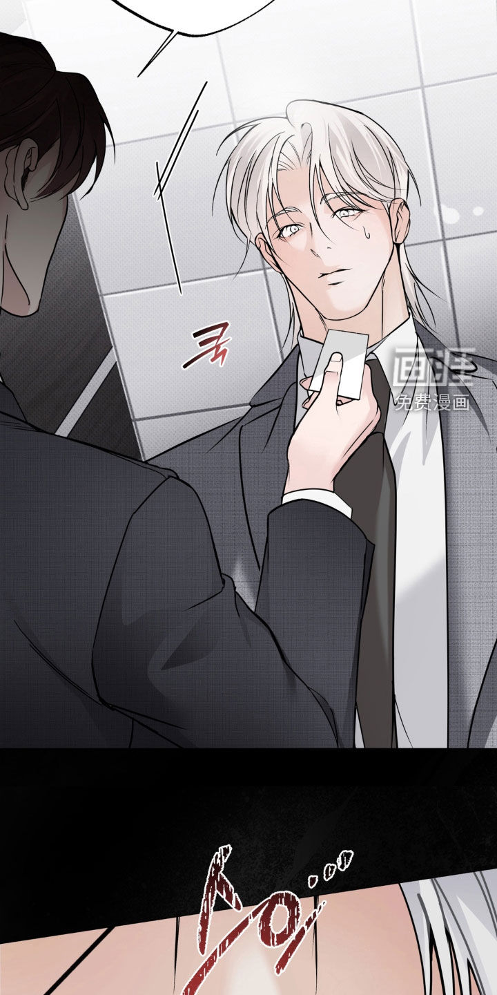 伪装阿尔法漫画-图7
