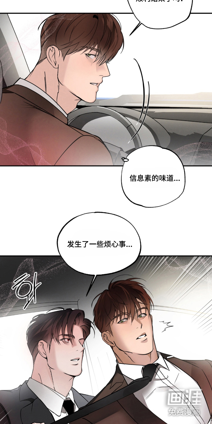 伪装阿尔法漫画-图14
