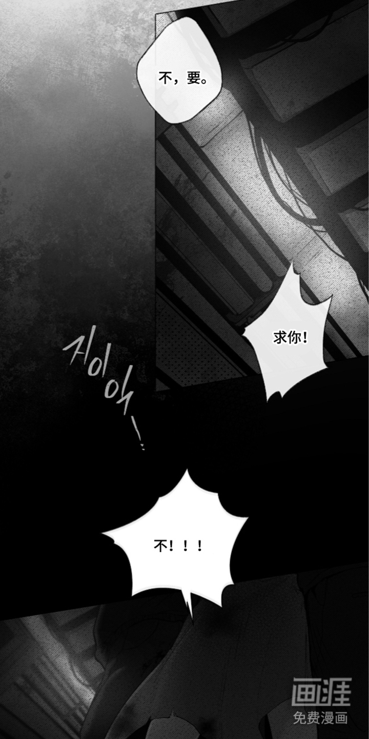唯一契合漫画-图0