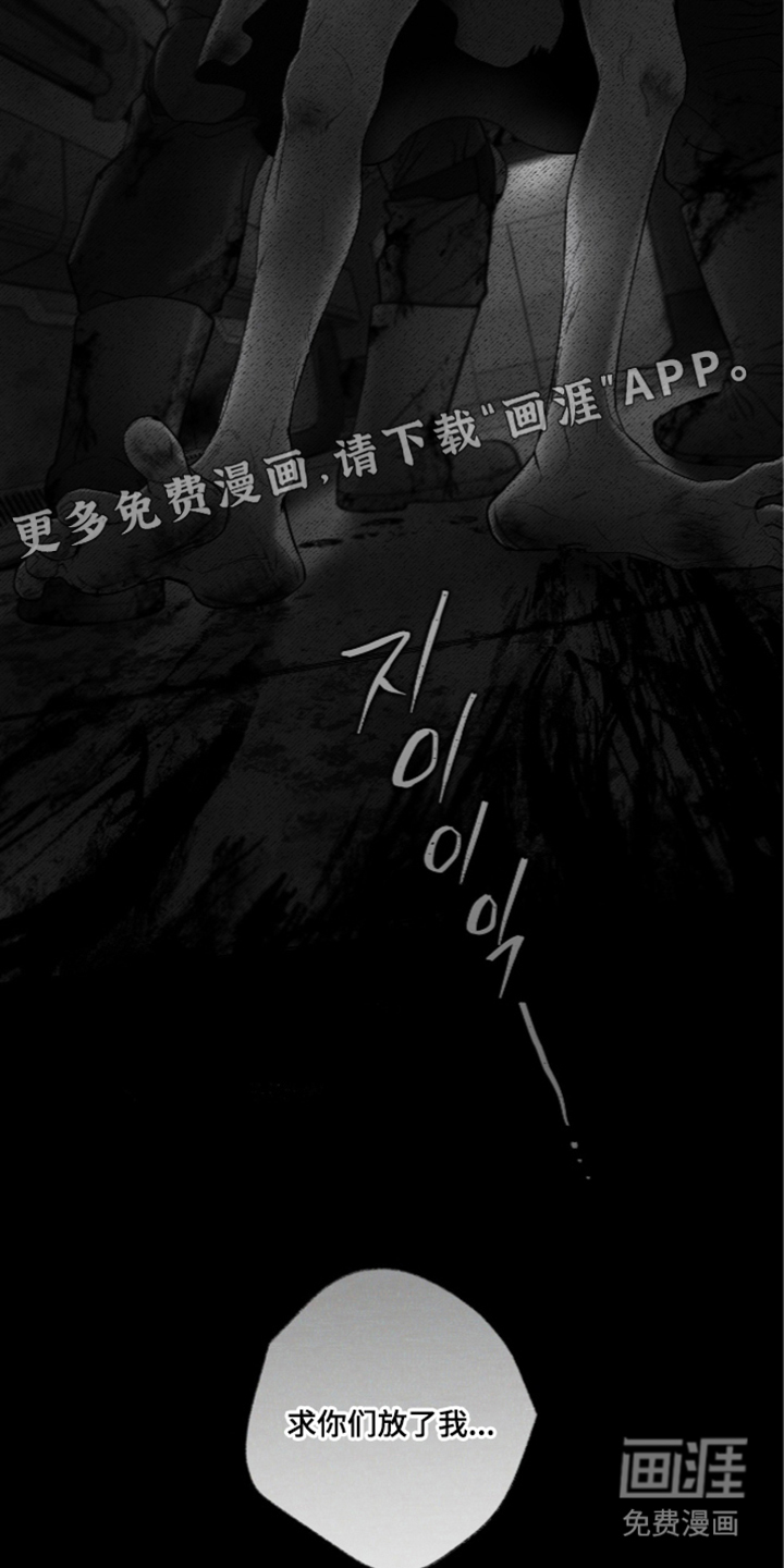 唯一契合漫画-图1