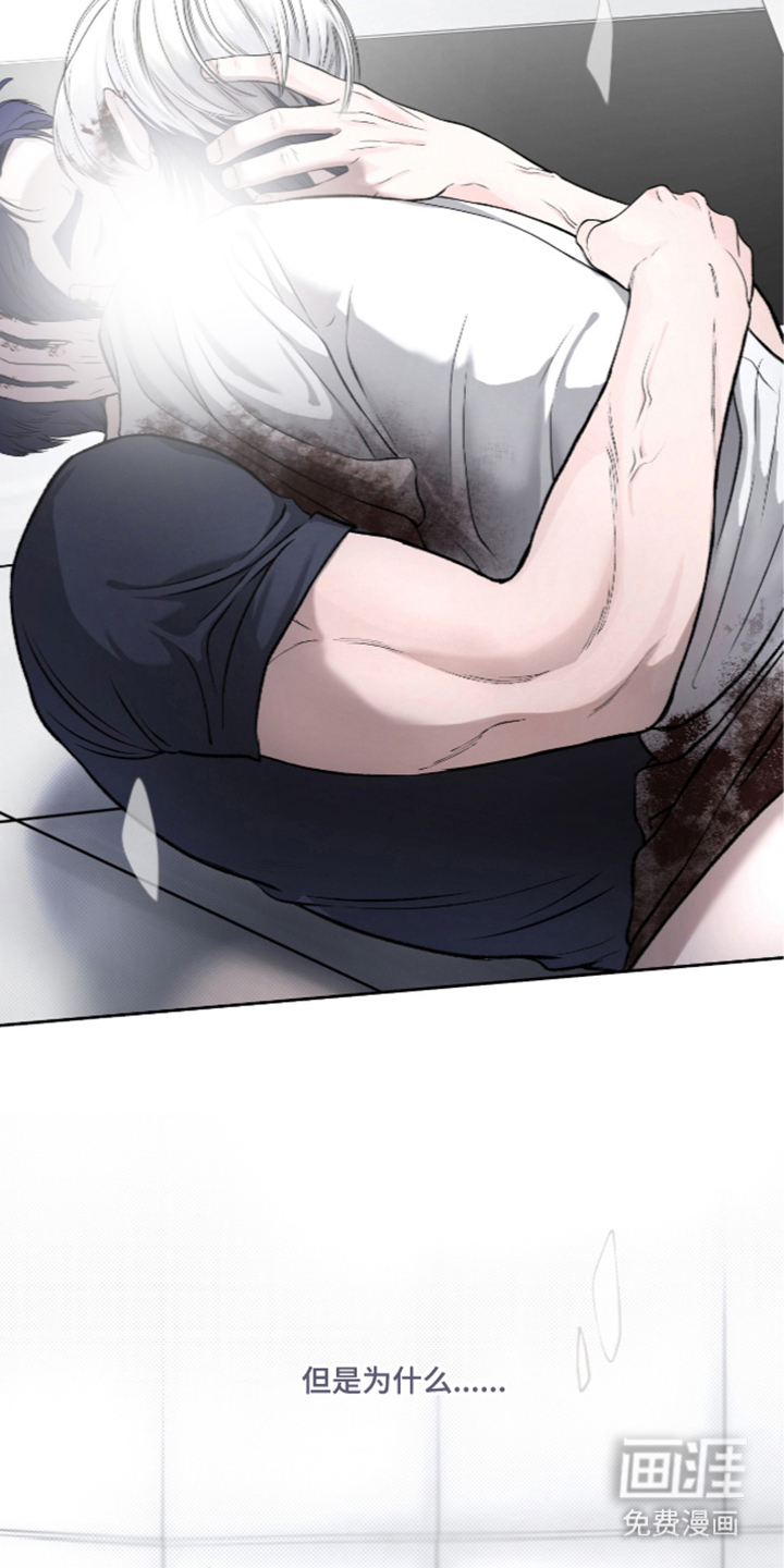 唯一契合漫画-图8
