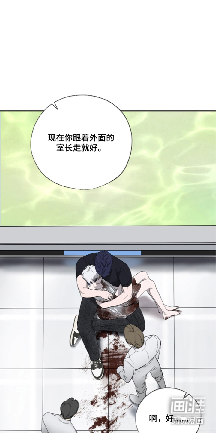 唯一契合漫画-图6
