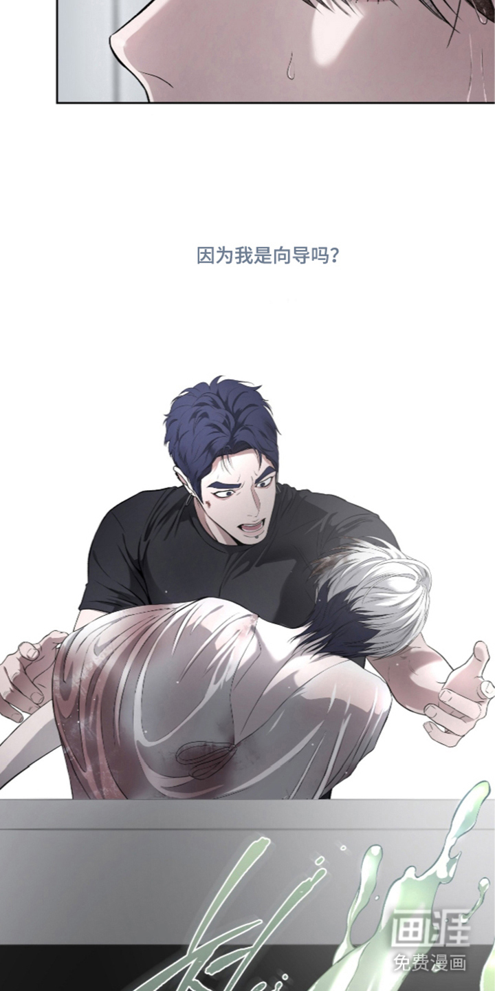 唯一契合漫画-图3