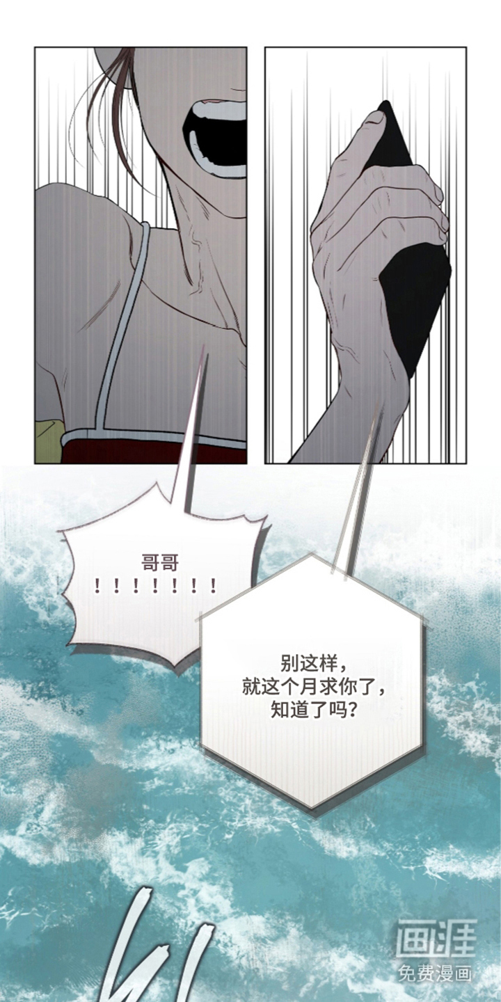 唯一契合漫画-图0