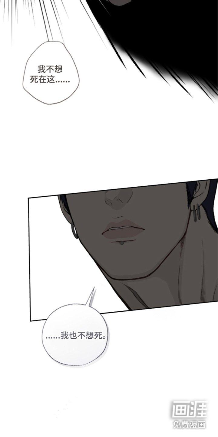 唯一契合漫画-图19