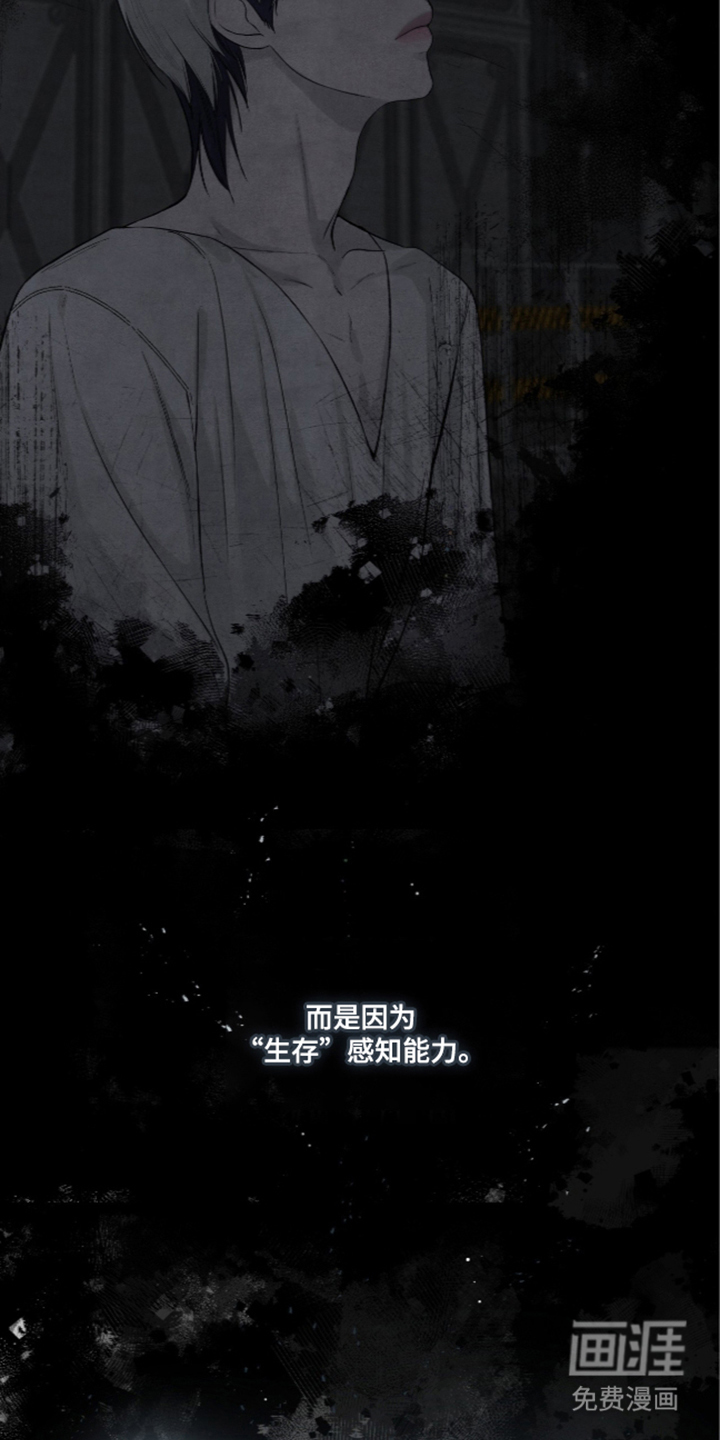 唯一契合漫画-图8