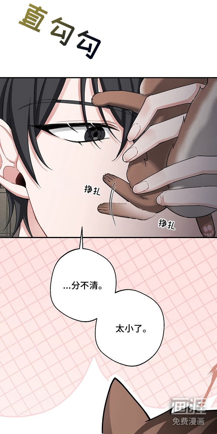我的饲主是债主漫画-图8