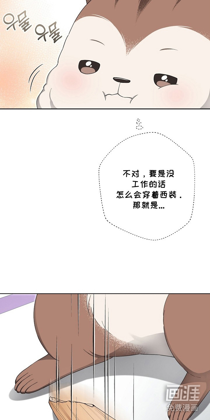 我的饲主是债主漫画-图6