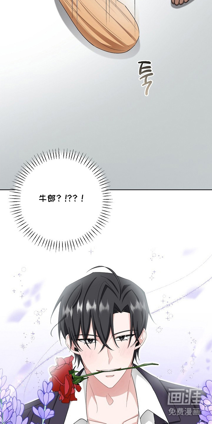 我的饲主是债主漫画-图7