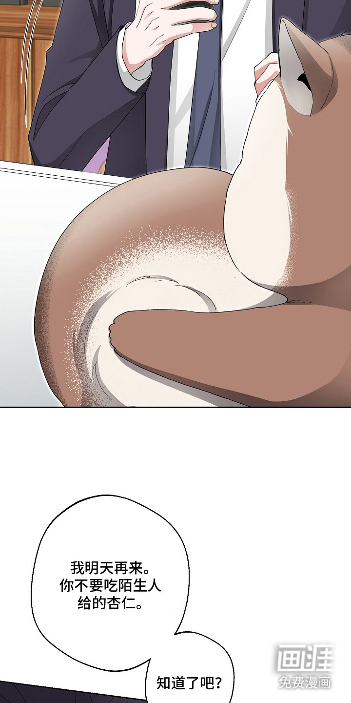 我的饲主是债主漫画-图13