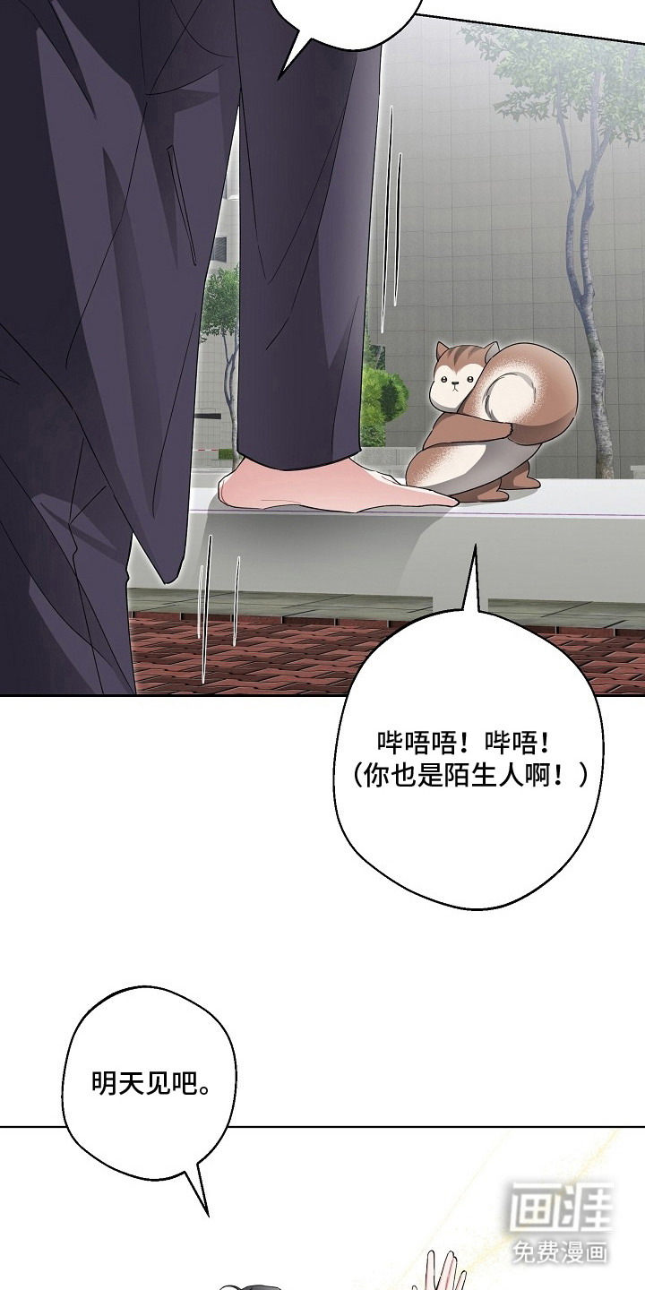 我的饲主是债主漫画-图14