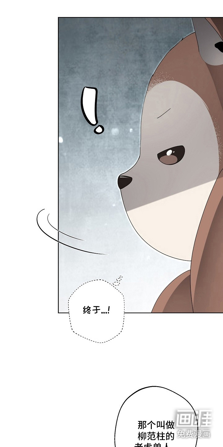 我的饲主是债主漫画-图10