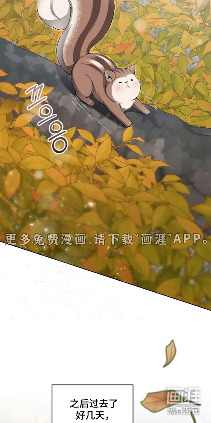我的饲主是债主漫画-图3