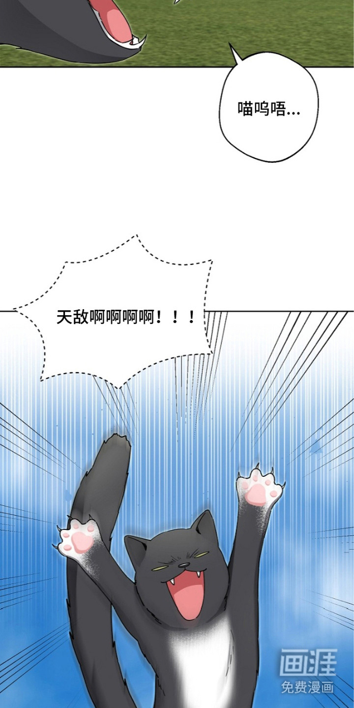 我的饲主是债主漫画-图23