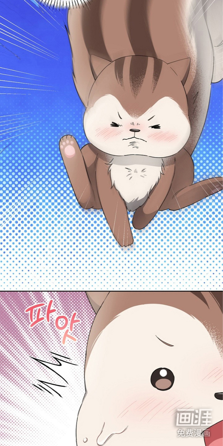 我的饲主是债主漫画-图3