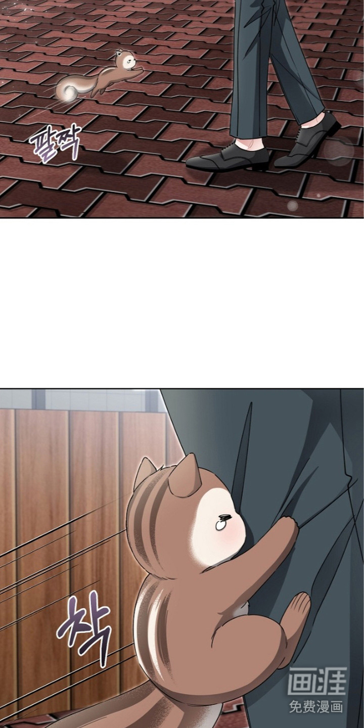 我的饲主是债主漫画-图8