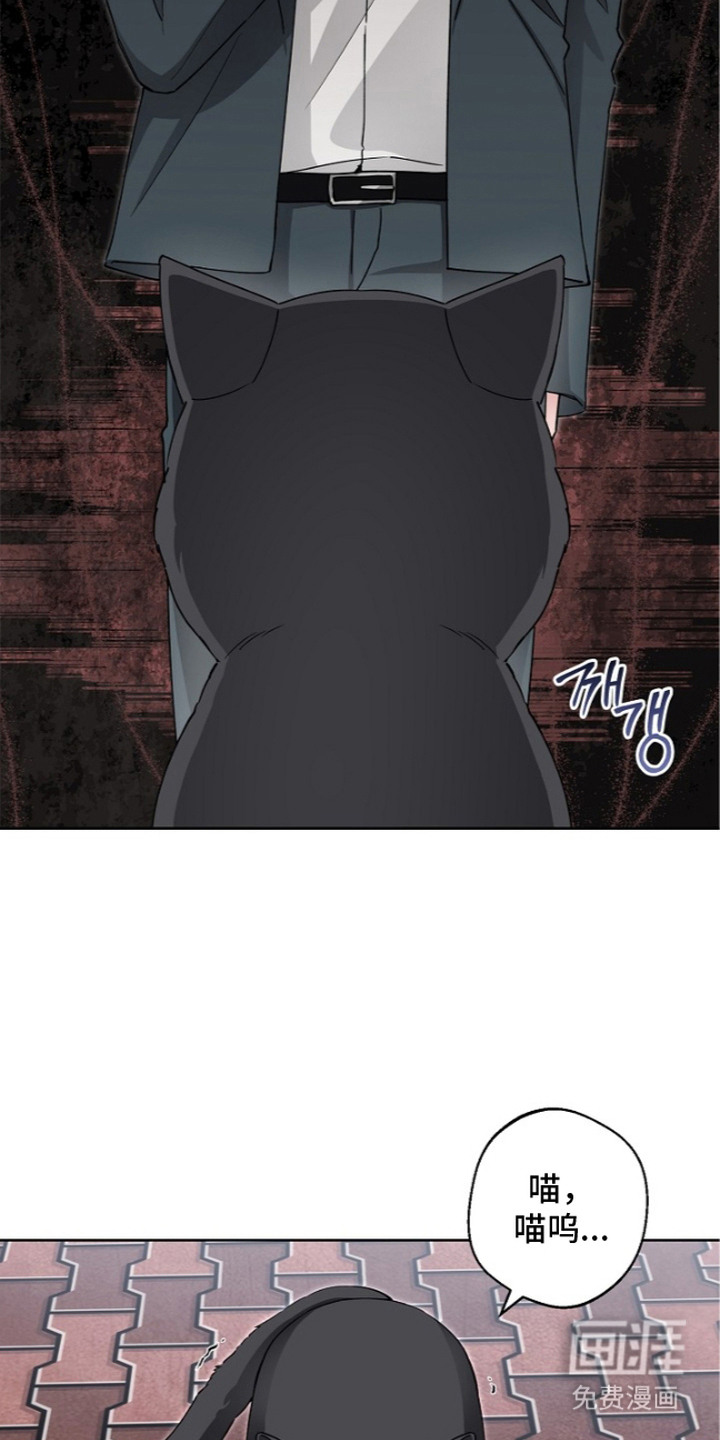 我的饲主是债主漫画-图13