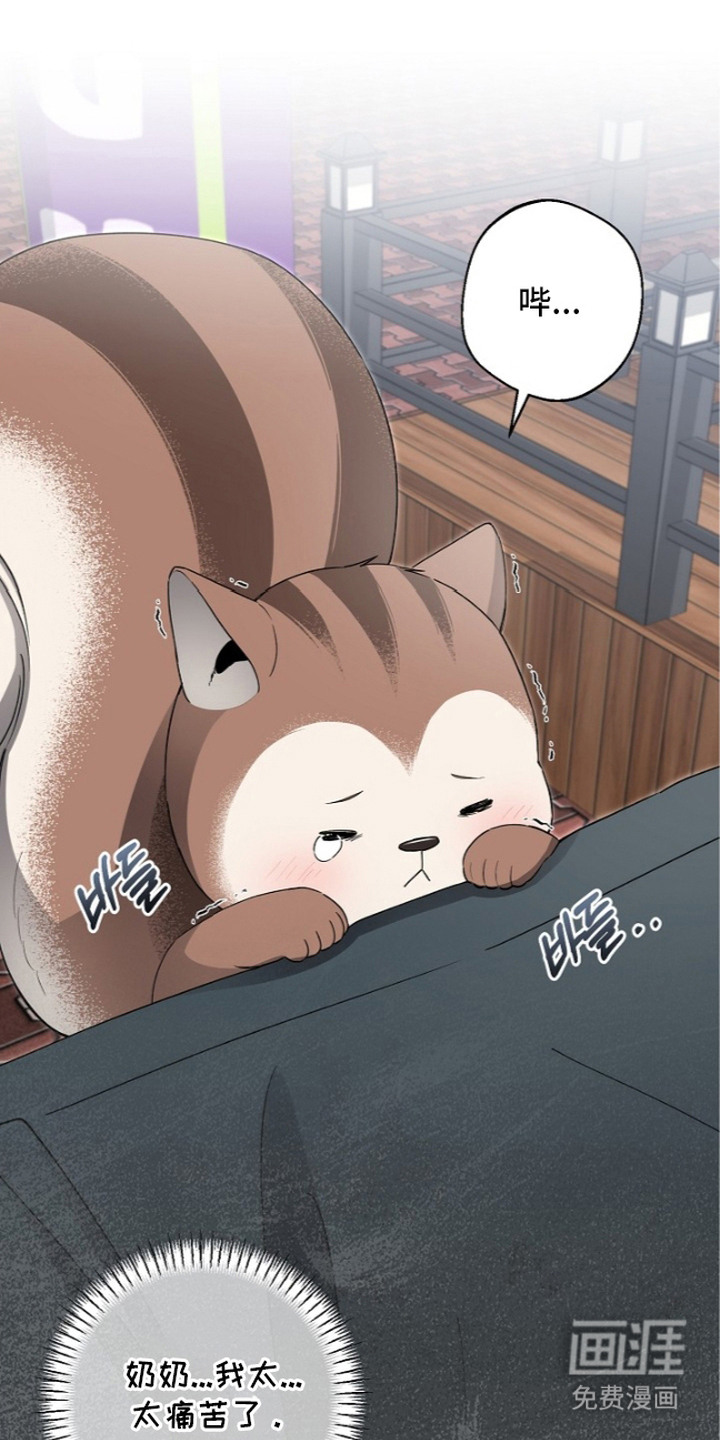 我的饲主是债主漫画-图18