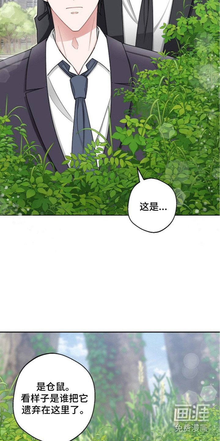 我的饲主是债主漫画-图12