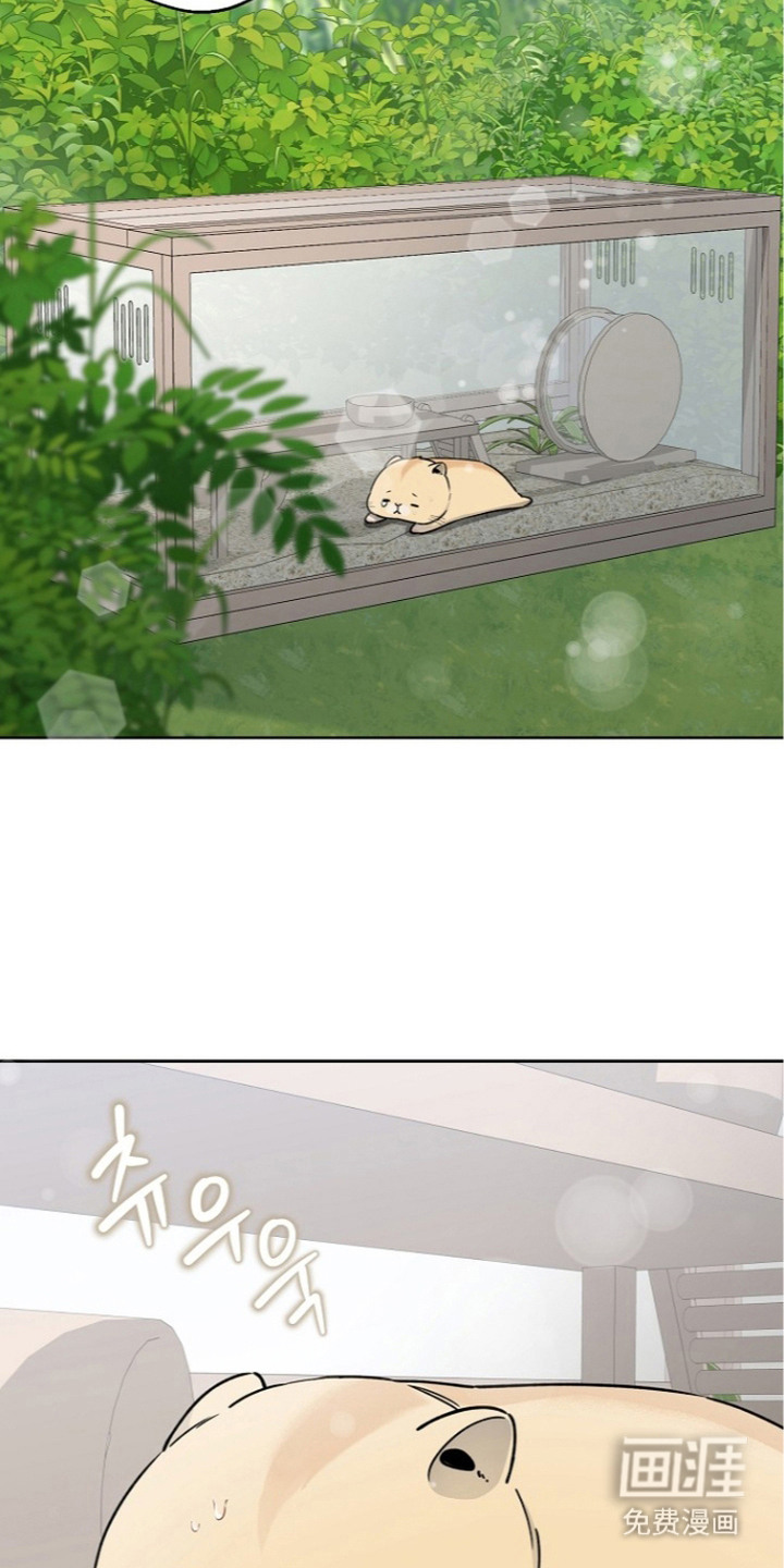 我的饲主是债主漫画-图13