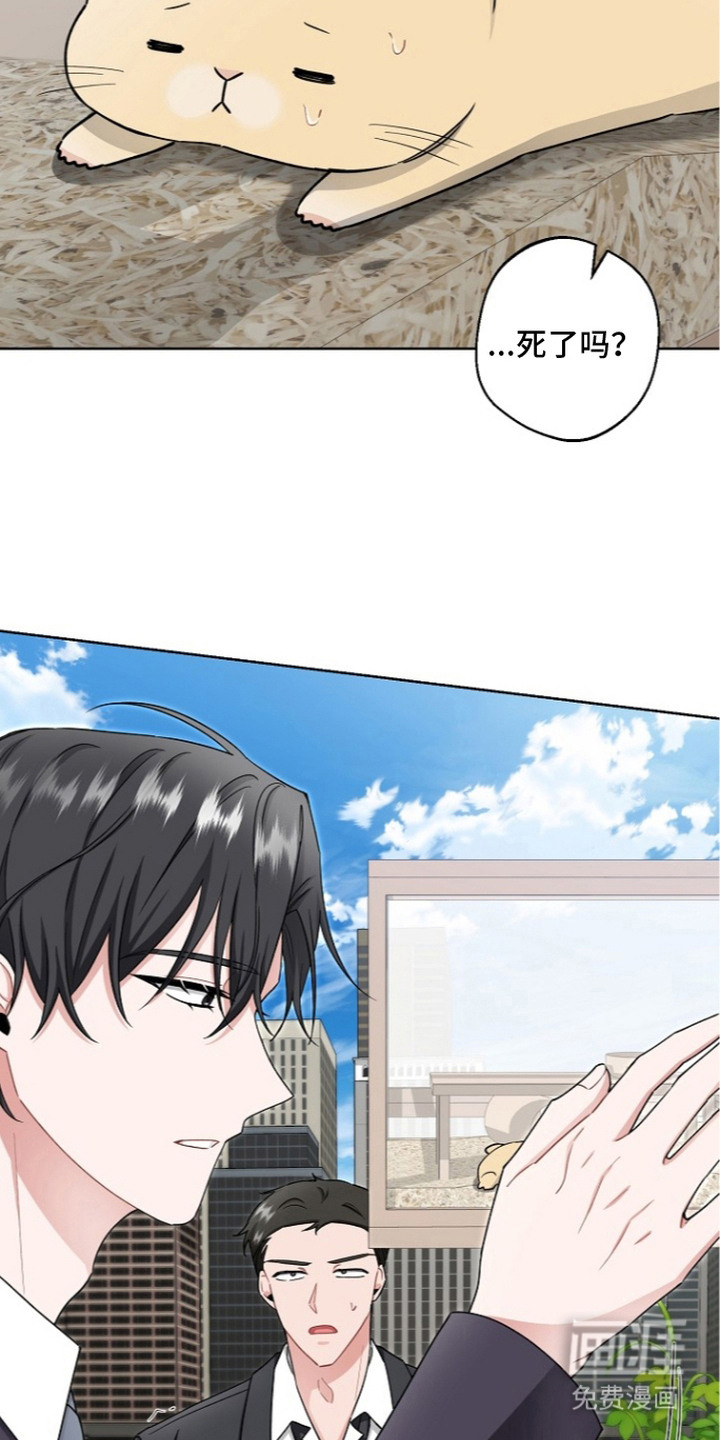 我的饲主是债主漫画-图14