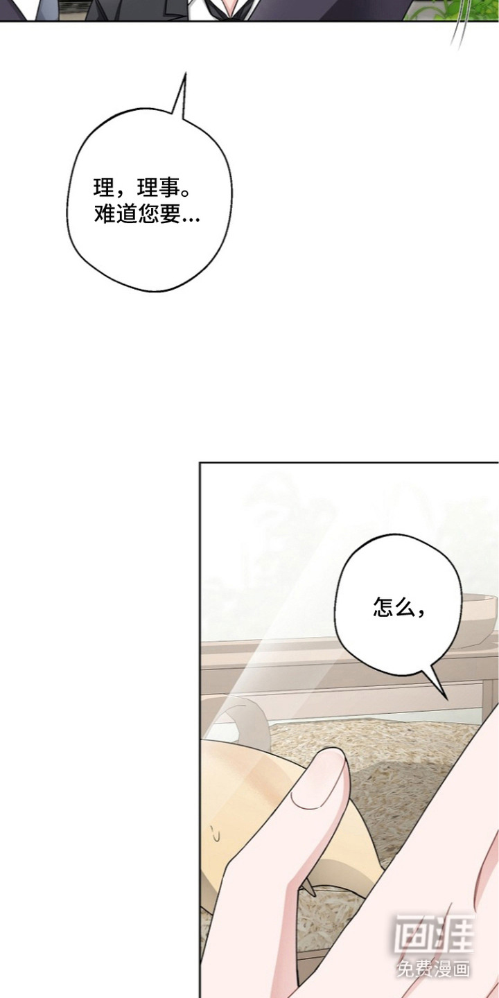 我的饲主是债主漫画-图15