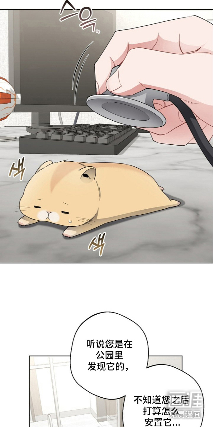 我的饲主是债主漫画-图20