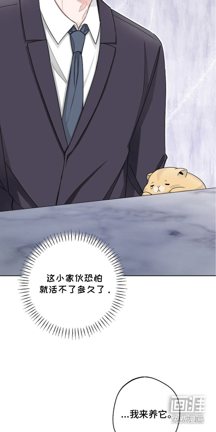 我的饲主是债主漫画-图24