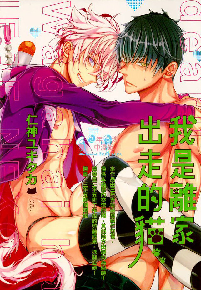 我是离家出走的猫全一话图