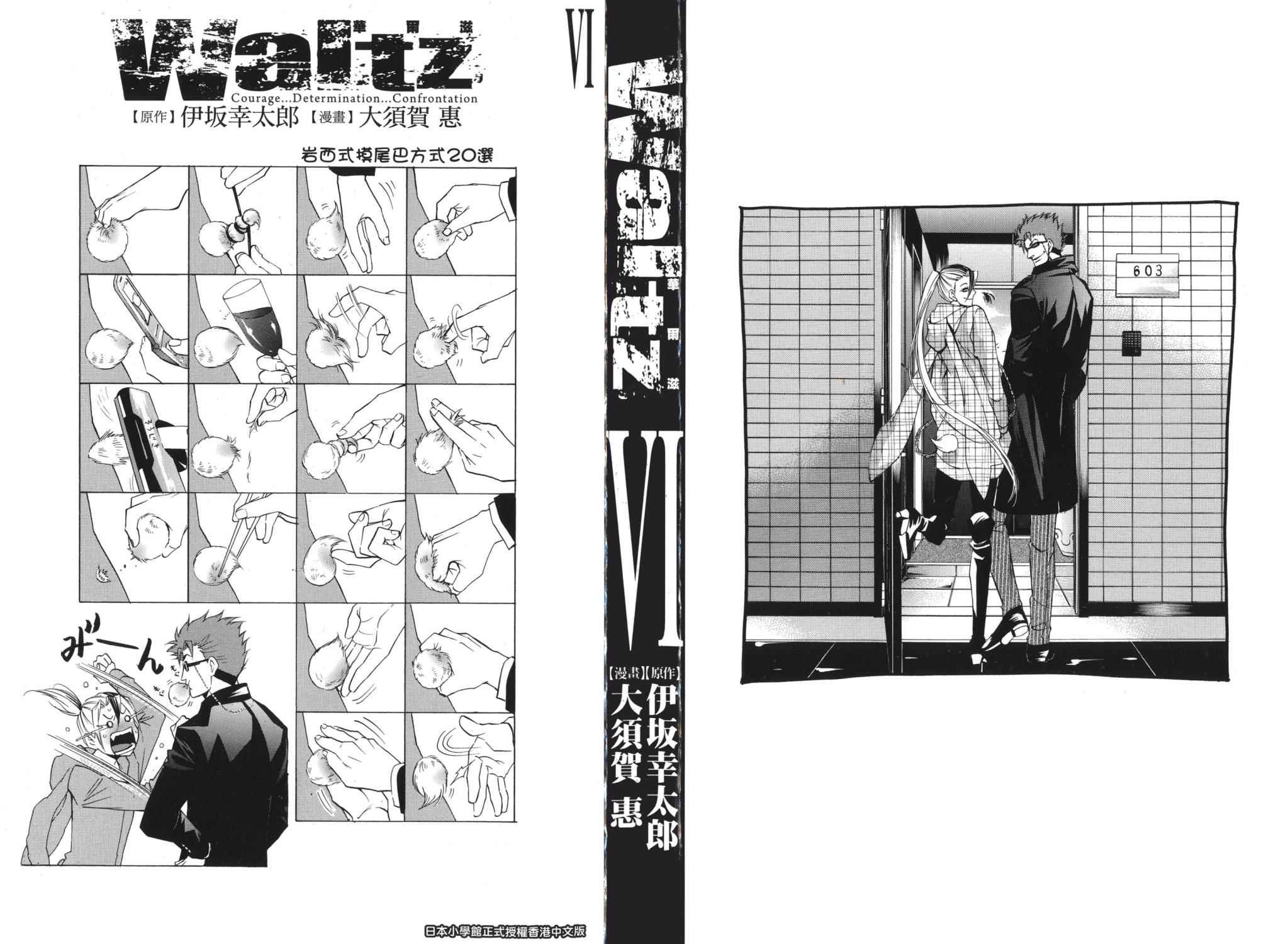 Waltz华尔兹第6卷图