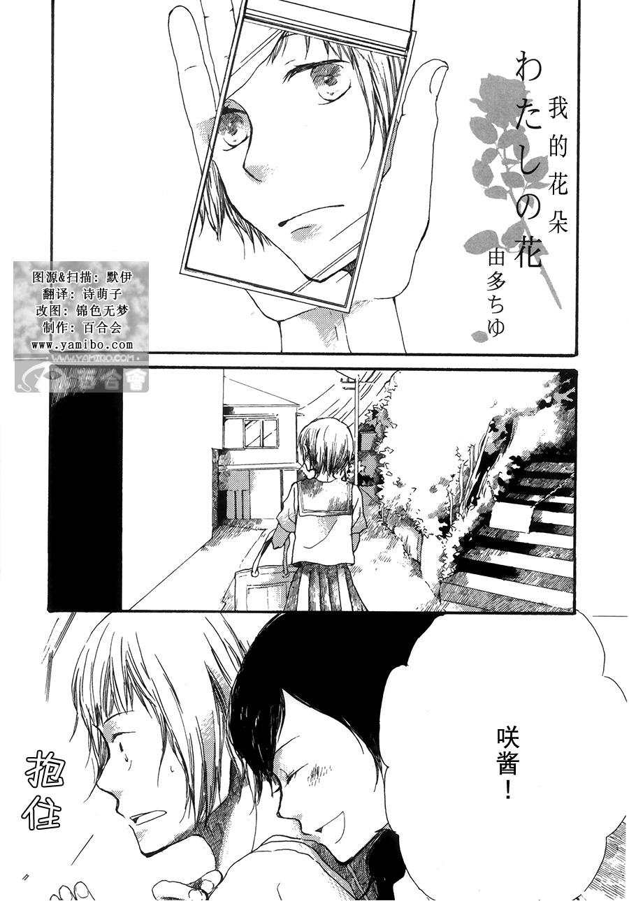 我的花朵全1话图