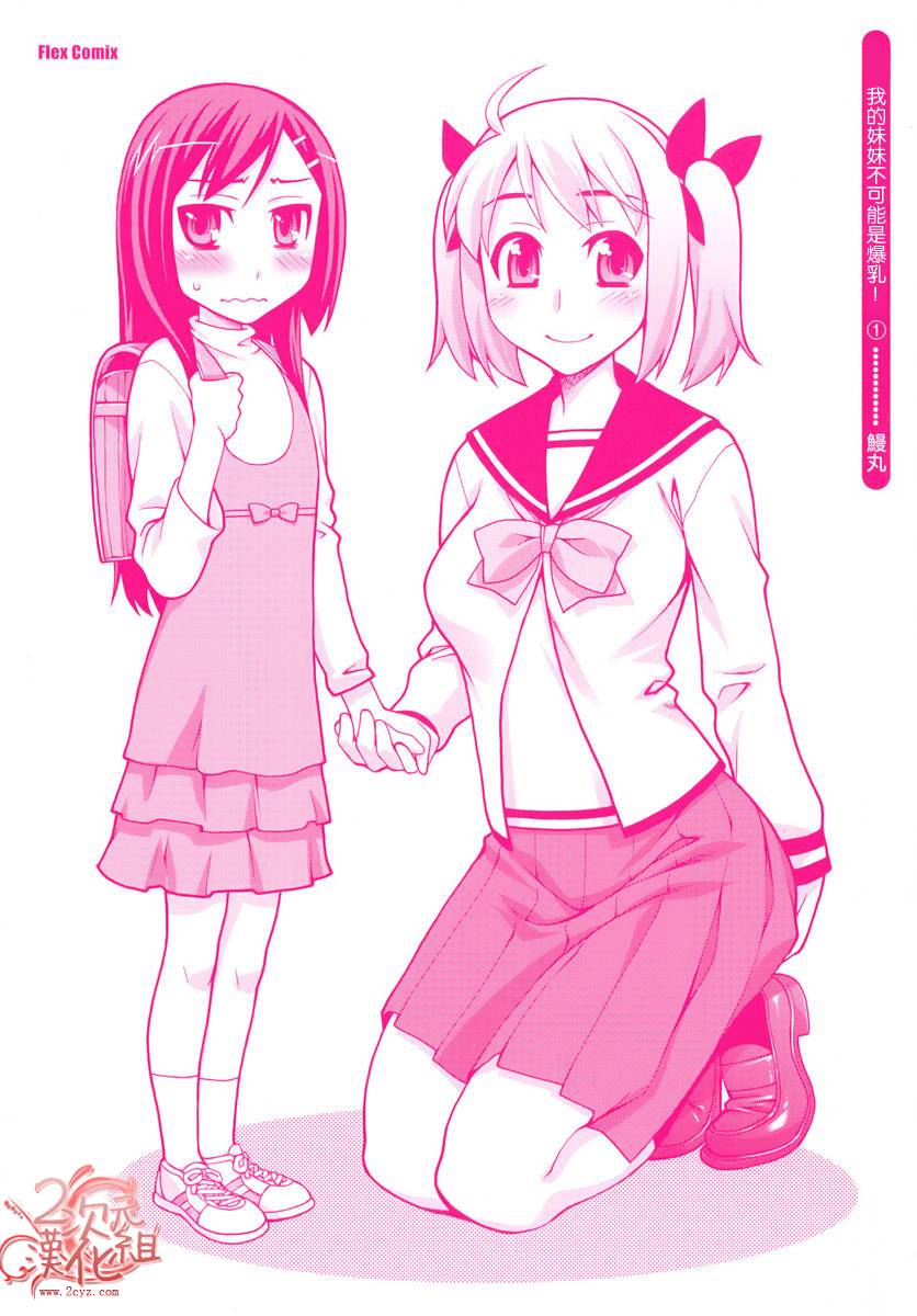 我的妹妹不可能是爆乳!第1卷图