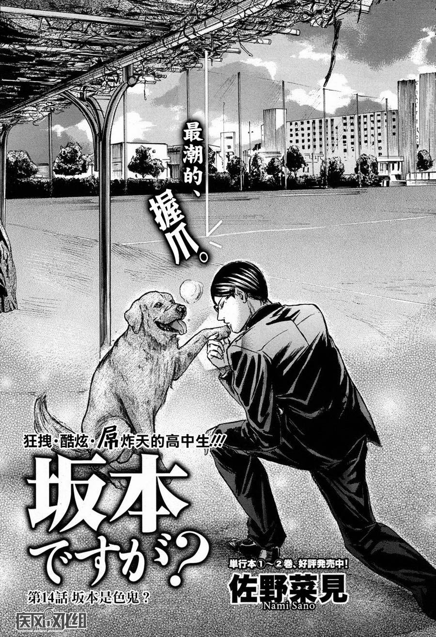 我叫坂本我最屌第14话图