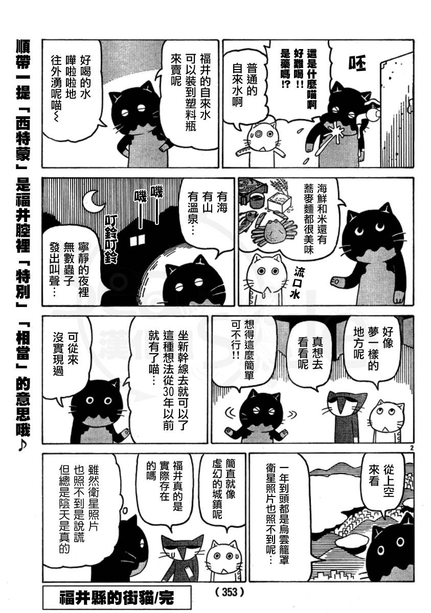 我家的街猫第217-239话图