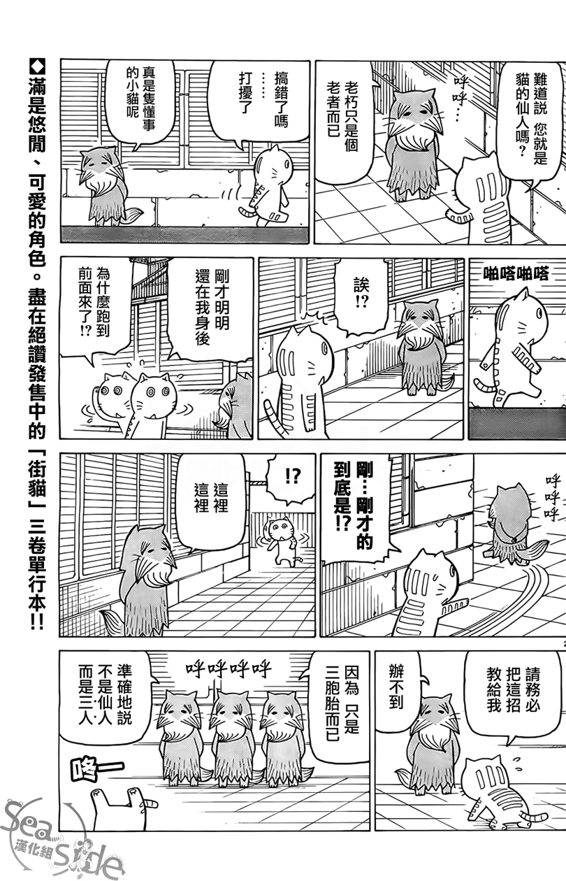 我家的街猫第262话图