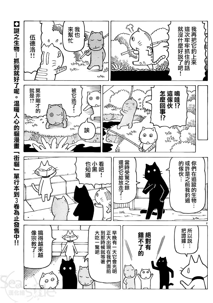 我家的街猫第265话图