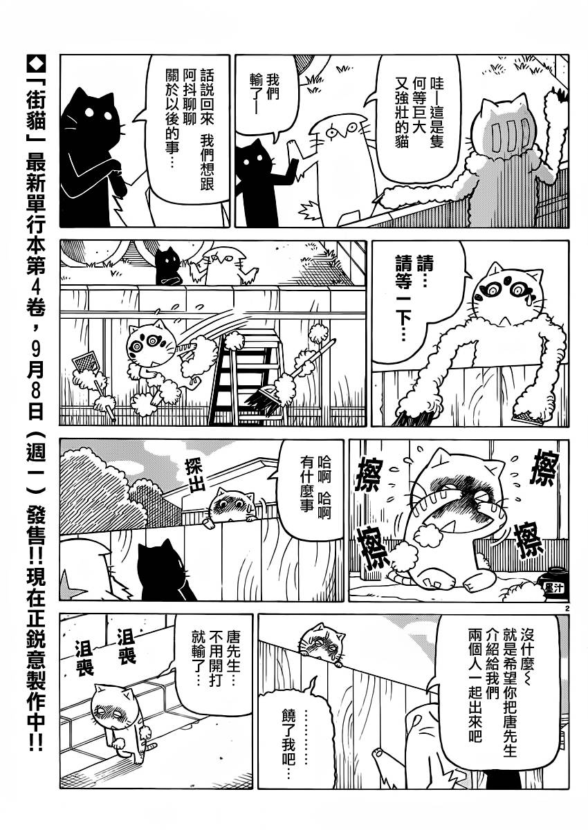 我家的街猫第278话图