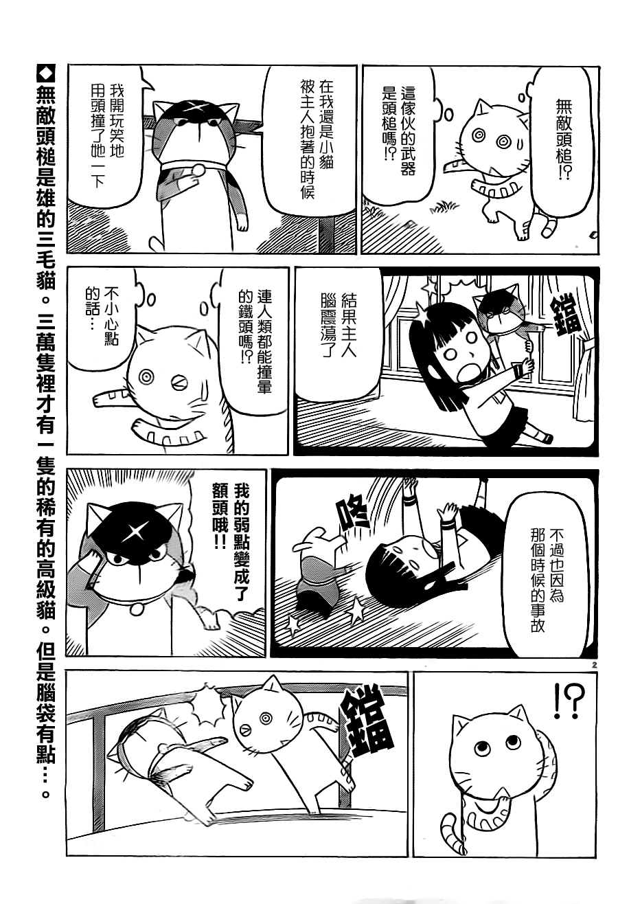 我家的街猫第290话图