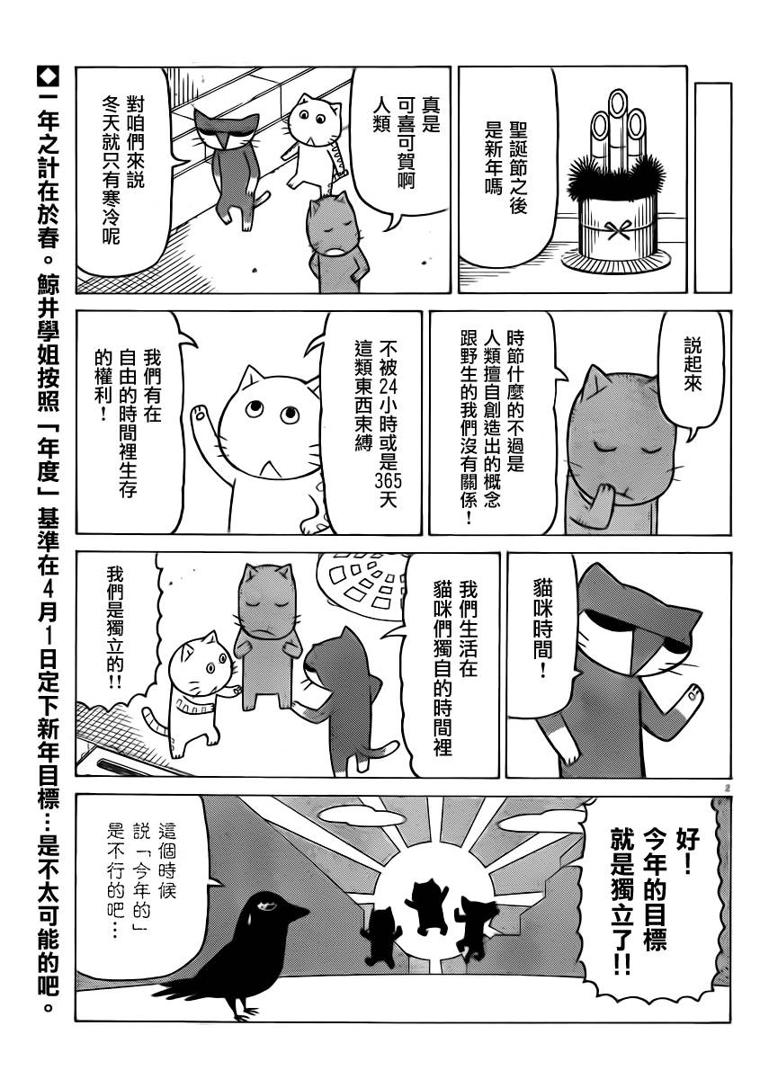 我家的街猫第297话图