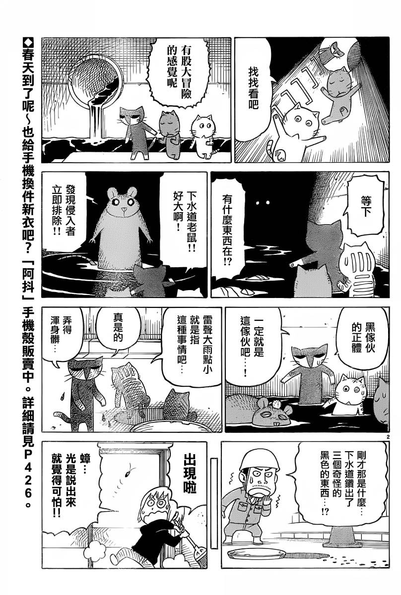 我家的街猫第311话图