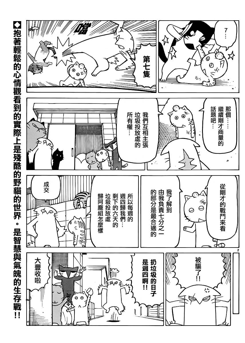 我家的街猫第317话图