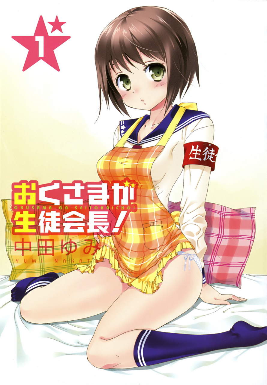 我老婆是学生会长第1卷图