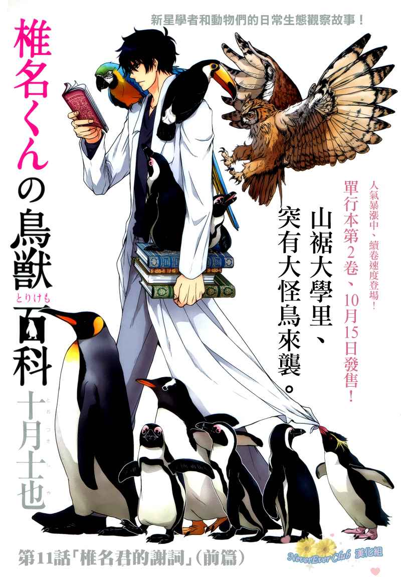 椎名的鸟兽百科第11话图