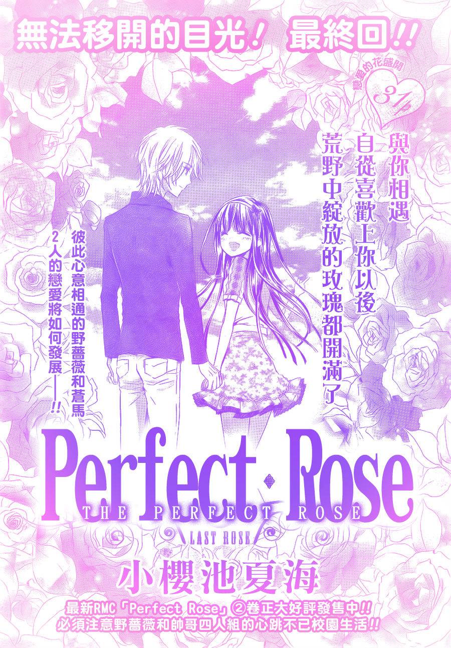 完美蔷薇第12话图