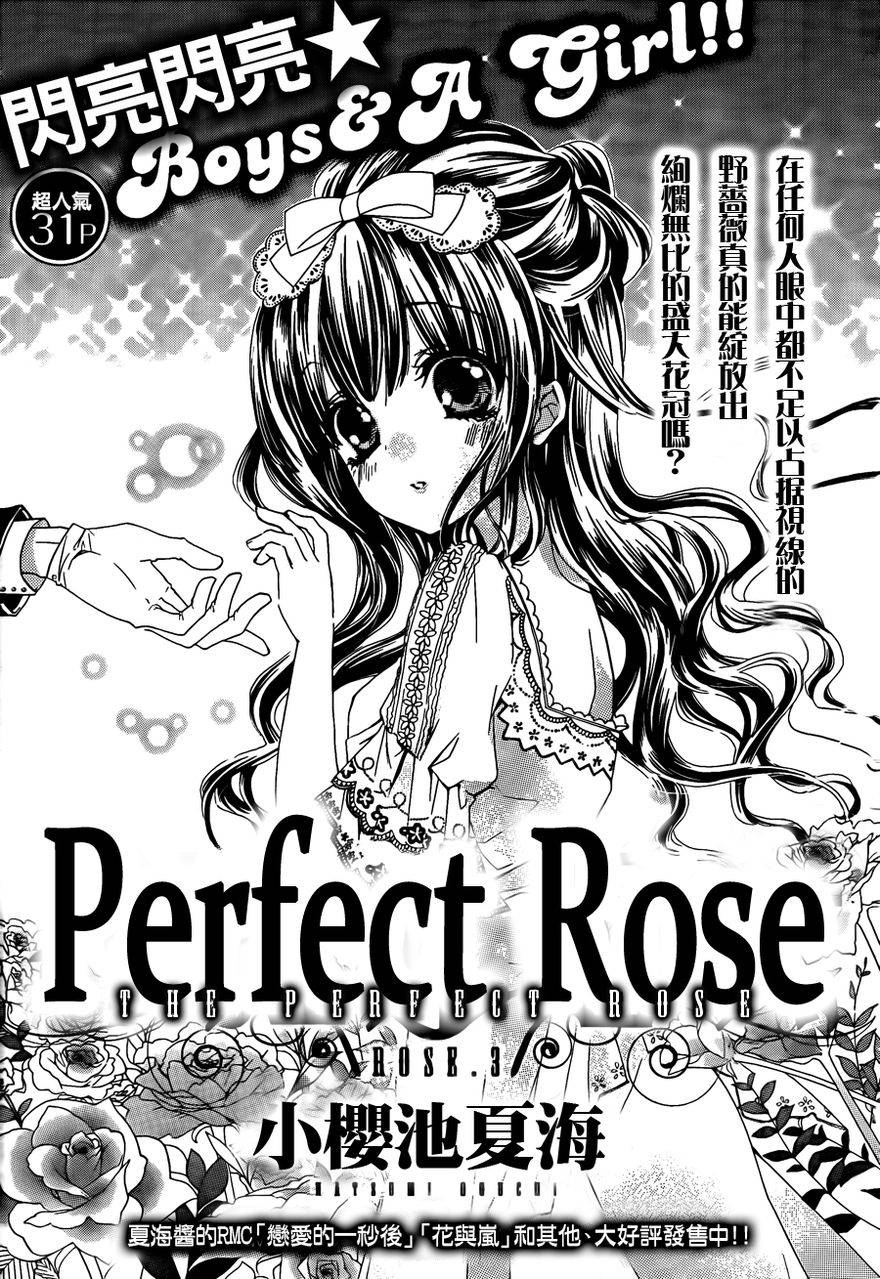 完美蔷薇第3话图