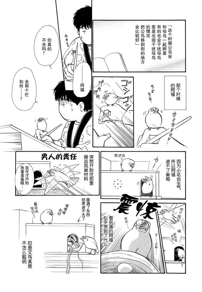 文鸟与我第2话图