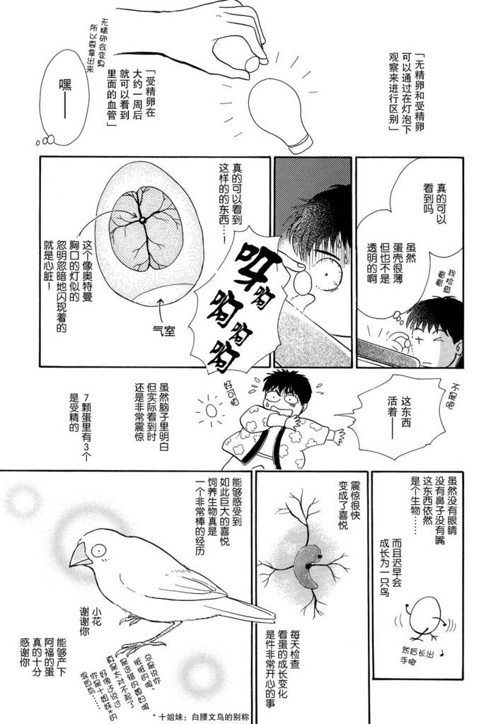 文鸟与我第2话图