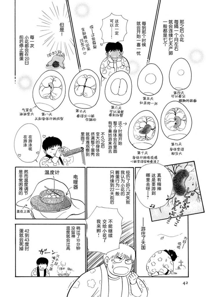 文鸟与我第2话图